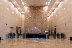 PLUS (D1), Office #555028341
